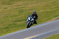 PJ-Motorsport-2019;anglesey-no-limits-trackday;anglesey-photographs;anglesey-trackday-photographs;enduro-digital-images;event-digital-images;eventdigitalimages;no-limits-trackdays;peter-wileman-photography;racing-digital-images;trac-mon;trackday-digital-images;trackday-photos;ty-croes